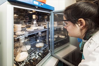 Laboratory technician examining samples in the laboratory at the Institute for Pharmaceutical Biology and Biotechnology at Heinrich Heine University Duesseldorf