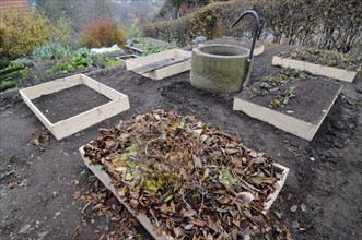 Creating an organic garden