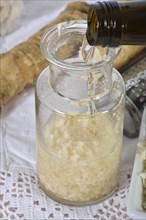 Production Horseradish wine