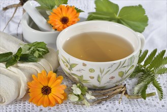 Menstrual cramps tea