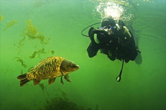 Diver with carp