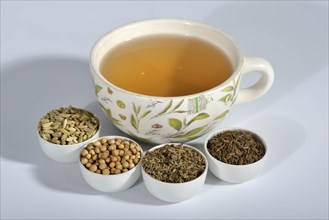 Tea of the Four Winds
