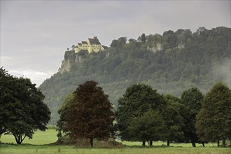 Werenwag Castle