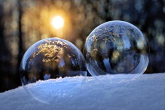 Freezing soap bubbles with ice crystals on snow in backlight