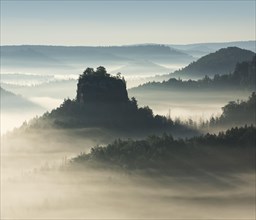 Morning atmosphere in the Elbe Sandstone Mountains