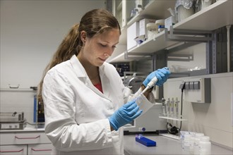 Scientist of biology pipetting in the genetic engineering area of the laboratories of the University of Duisburg-Essen