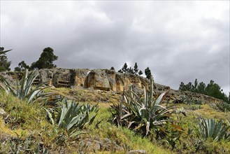 Otuzco window