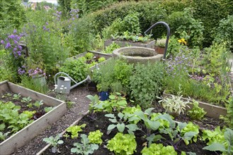 Nature garden and frame beds