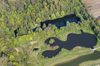 Fish ponds