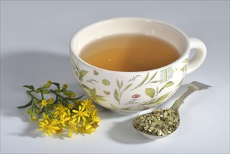 Cup goldenrod tea