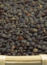 French green lentils called Puy lentils