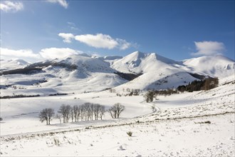 The Monts Dore in winter