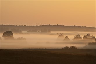 Sunrise with morning fog