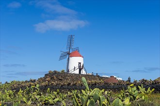 Windmill in the Jardin de Cactus