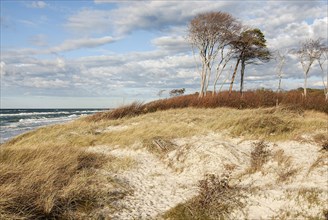 Baltic Sea with dune area at the west beach Darsser Ort