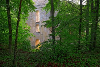 Maria Hilf church ruins