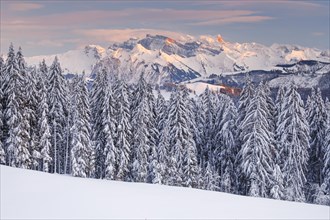 View from Gotschalkenberg with view to Glaernisch in the Schwyzer Alps