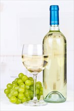 Wine white white wine white wine grapes grapes text free space copyspace copyspace