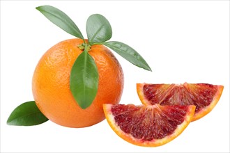 Blood orange fruit cropped isolated against a white background