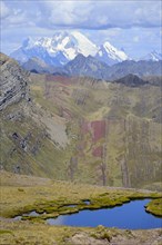 Small lagoon at 4800 m above sea level with view of the Cordillera Huayhuash