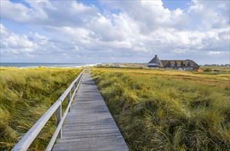 Boardwalk