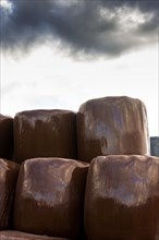 Plastic wrapped bales of straw