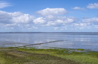 Wadden Sea