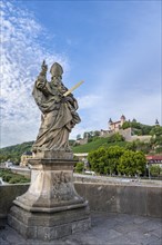 Marienberg Fortress on the Main