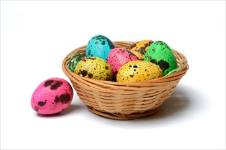 Coloured quail eggs in baskets