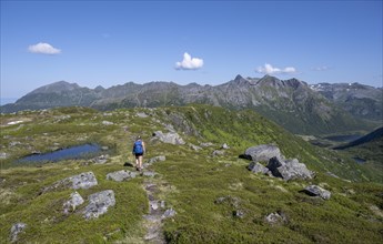 Hiker on the trail to the mountain Rundfjellet