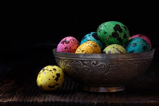 Coloured quail eggs in shell