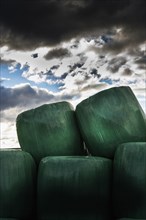 Plastic wrapped bales of straw