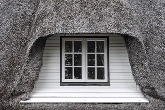 Gable of a Frisian house with thatched roof