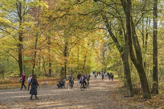 Autumn atmosphere with walkers and cyclists in the English Garden