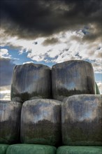 Plastic wrapped bales of straw