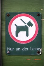 Dogs on leash only