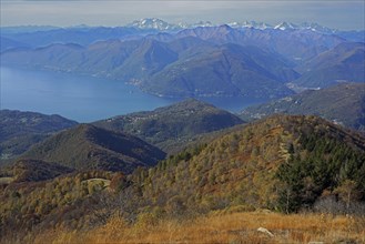 View from Monte Lema on Lake Maggiore with the Monte Rosa massif in the distance