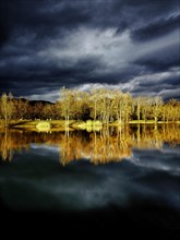 Edge of the river allier