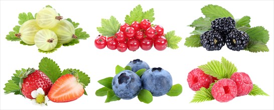 Collection berries strawberries blueberries raspberries red currants fruits isolated clipped against a white background