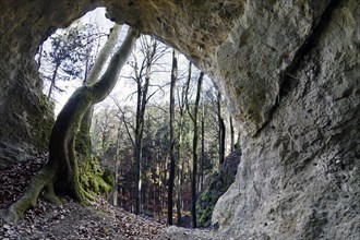 Collapsed cave near Elbersberg chapel
