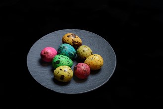 Colored quail eggs on plate