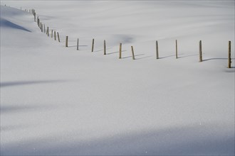 Fence in snowy meadow