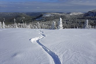 Ski track in deep snow in winter landscape
