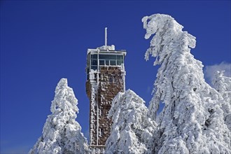 Hornisgrinde tower and snow-covered firs