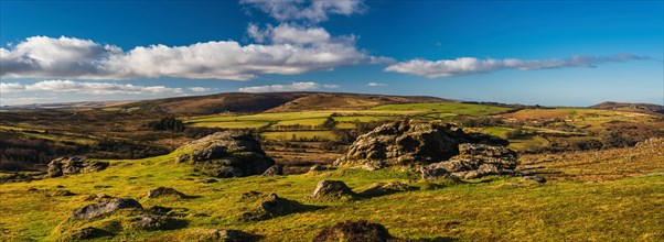 Panorama of fields and meadows in Haytor Rocks