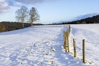 Winter landscape near Alfdorf