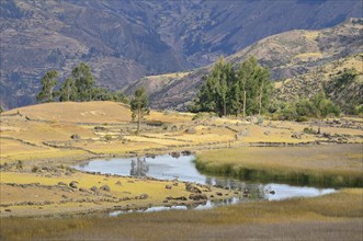Swampy river landscape at the Inca ruins of Inti Watana