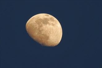 Rising moon near Speyer