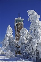 Hornisgrinde tower and snow-covered firs