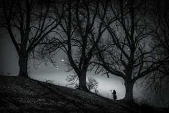 Man with scythe under tree with starry sky